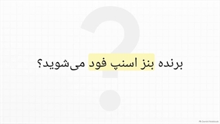 کمپین شیشلیگ اسنپ فود | انواع کد تخفیف اسنپ فود