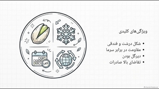 راهنمای کاشت و نگهداری نهال پسته کله قوچی