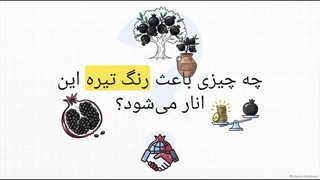 بررسی کامل نهال انار سیاه و شرایط کاشت
