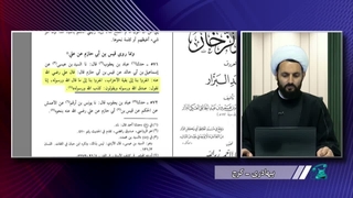 آیا جنگ امیرالمومنین علی علیه السلام با معاویه یک دعوای سیاسی بود؟!