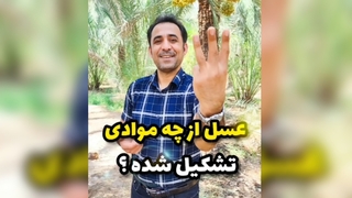 برای شناخت خواص عسل، از ترکیبات آن شروع کنیم!